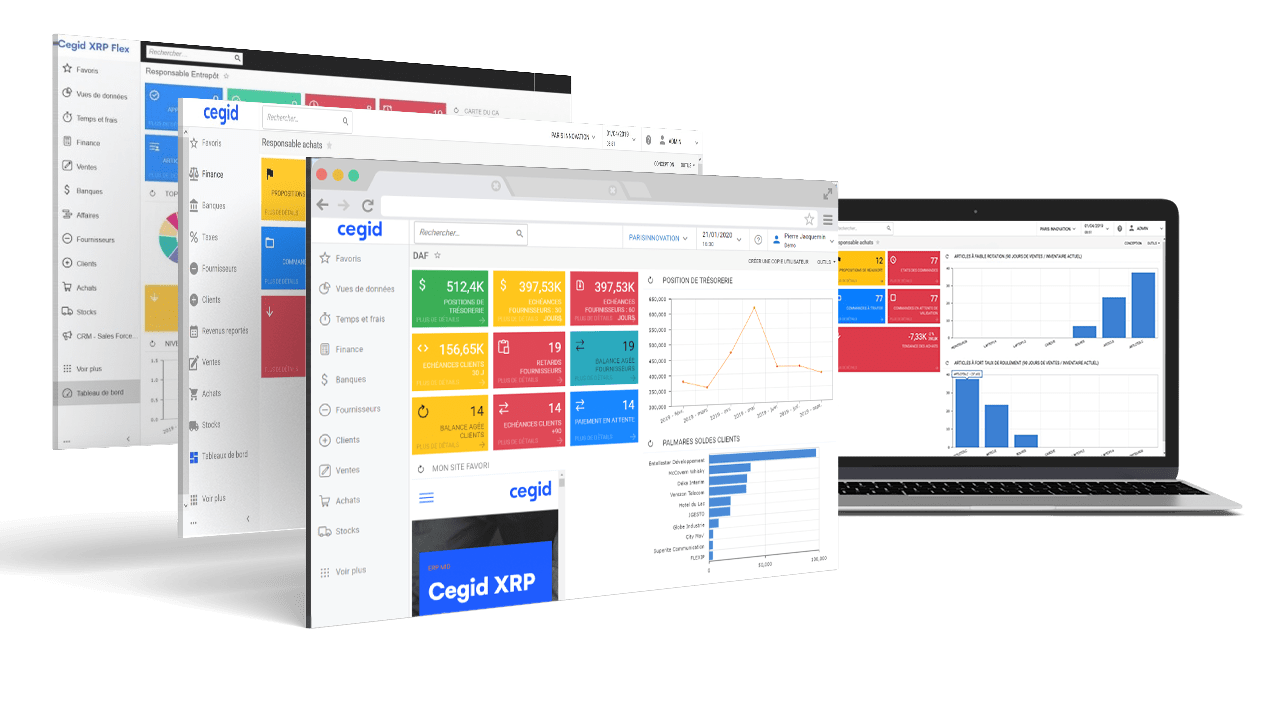 INTERFACE CEGID FLEX INTERFACE CEGID XRP FLEX